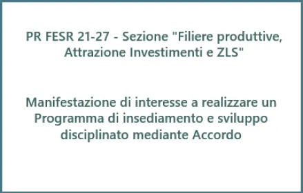 Sezione "Attrazione investimenti".